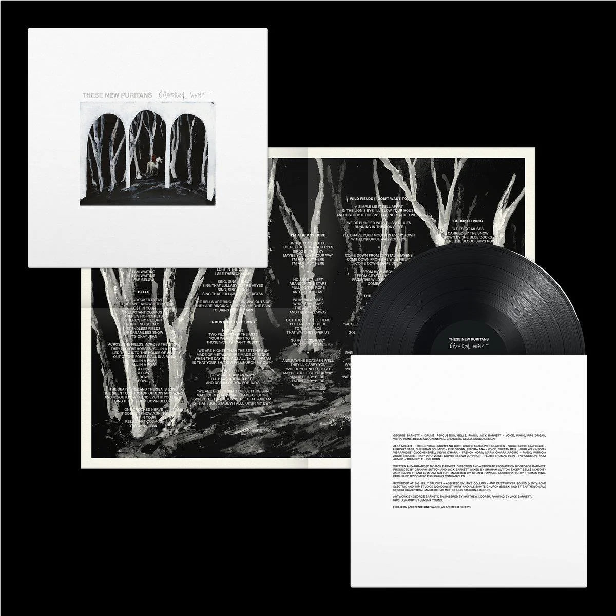 These New Puritans - Crooked Wing (Vinyl)