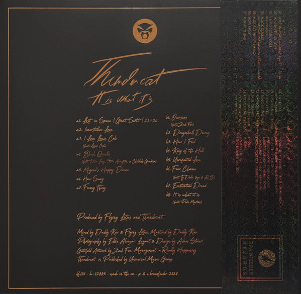 Thundercat – It Is What It Is - LP