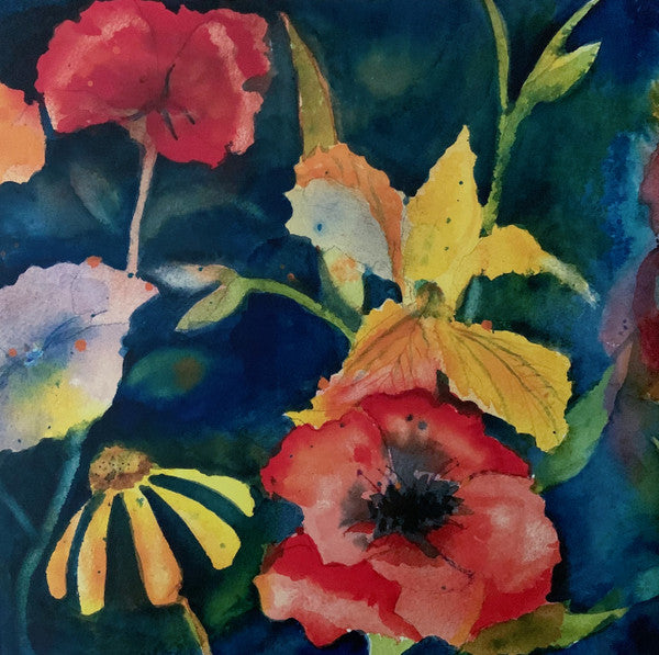 Adrianne Lenker – Songs And Instrumentals - LP