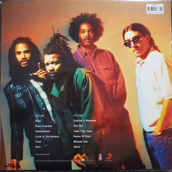 Bad Brains – Rise - LP