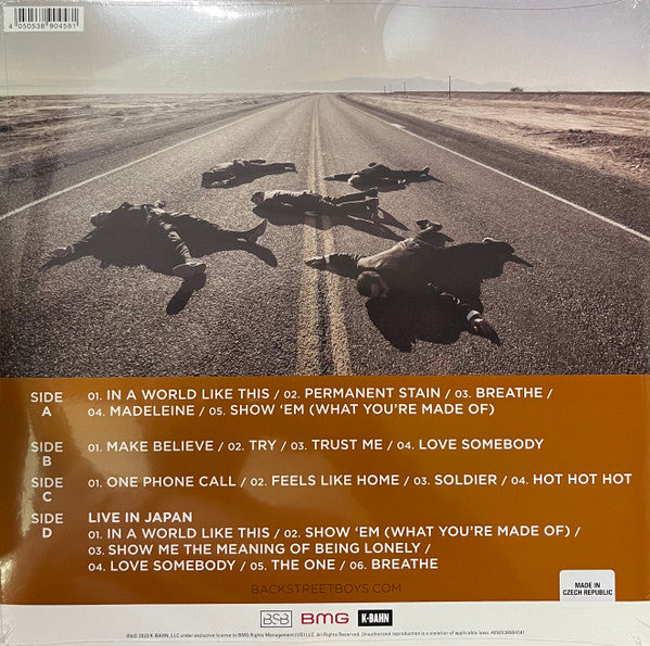 Backstreet Boys – In A World Like This - LP