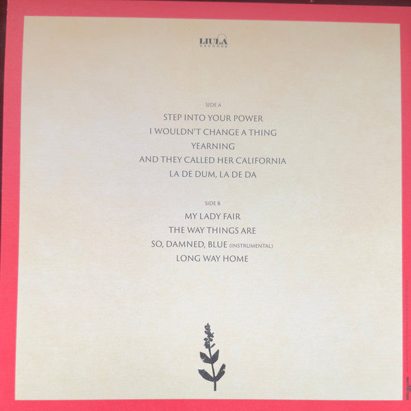 Ray Lamontagne – Long Way Home - LP