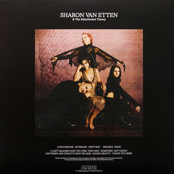 Sharon Van Etten & The Attachment Theory – Sharon Van Etten & The Attachment Theory - LP