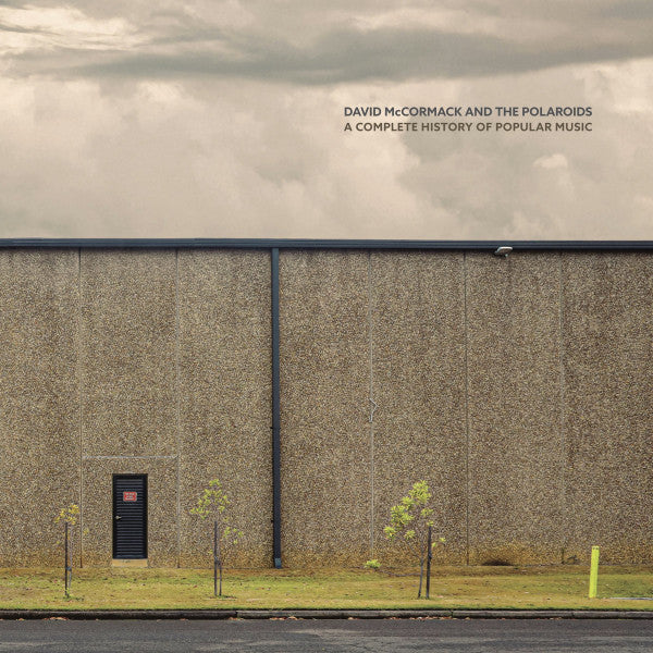 David McCormack And The Polaroids – A Complete History Of Popular Music - LP