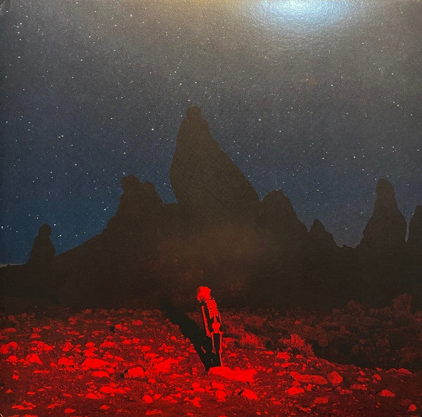 Phoebe Bridgers – Punisher - LP
