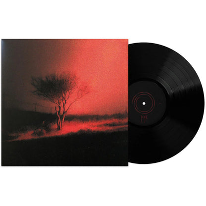 Joji – Piss In The Wind - LP