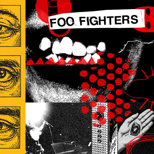 Foo Fighters - Your Favorite Toy - LP