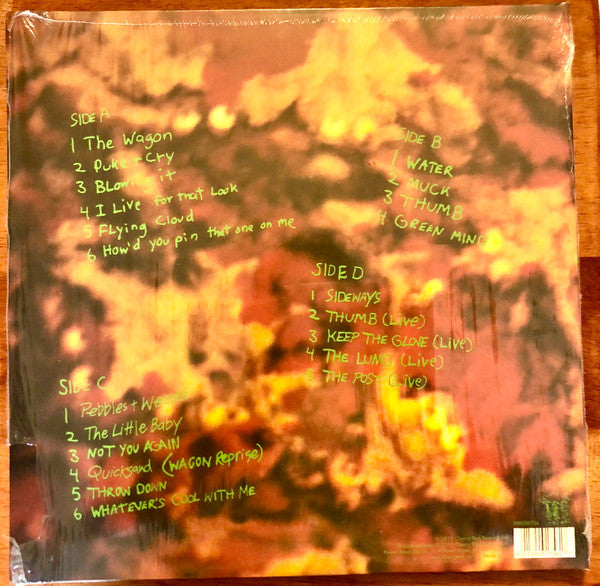 Dinosaur Jr. – Green Mind - 2LP