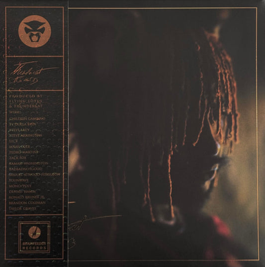 Thundercat – It Is What It Is - LP