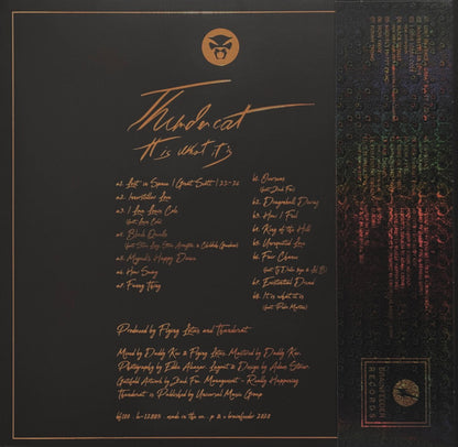 Thundercat – It Is What It Is - LP