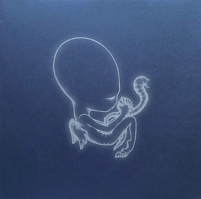 Sigur Ros – Agaetis Byrjun - LP
