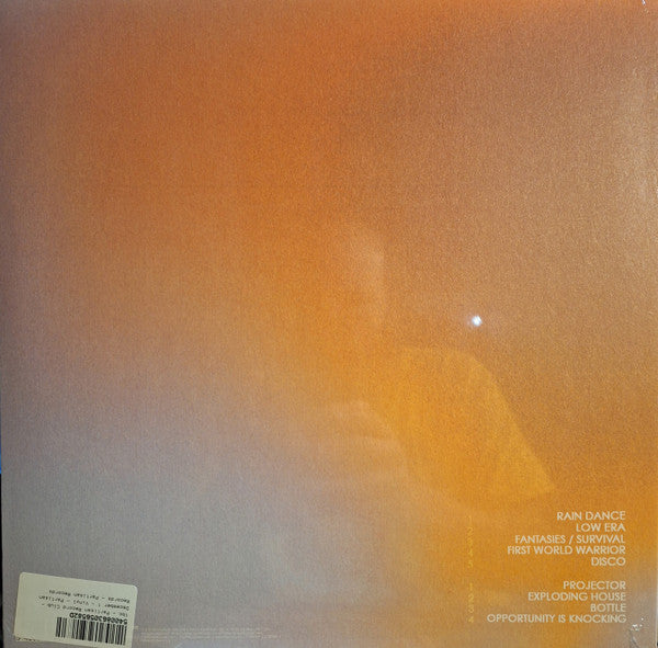 Geese – Projector - LP