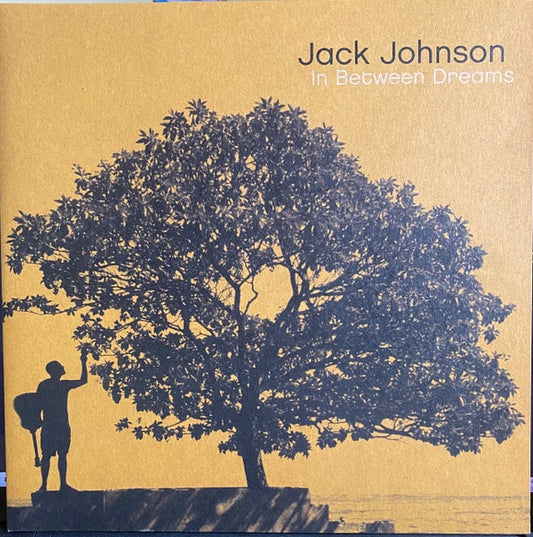 Jack Johnson – In Between Dreams - LP