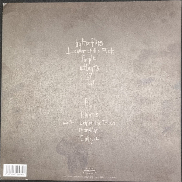 Wunderhorse – Cub - LP