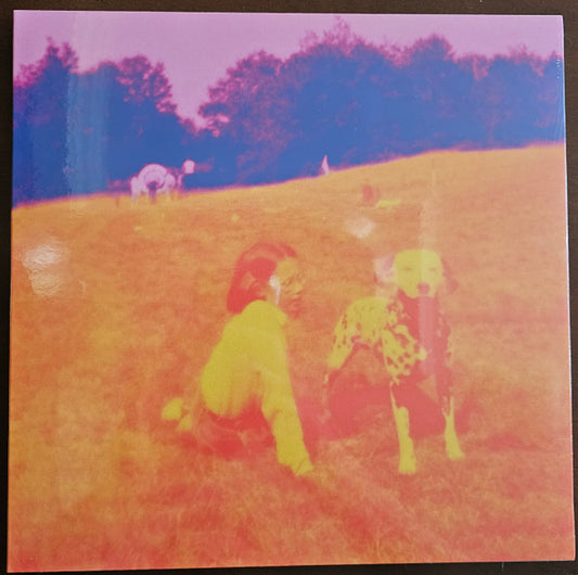 Eels – Blinking Lights And Other Revelations - LP