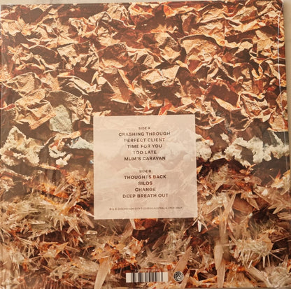 Cable Ties – All Her Plans - LP
