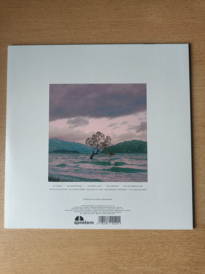 Dayseeker – Sleeptalk - LP