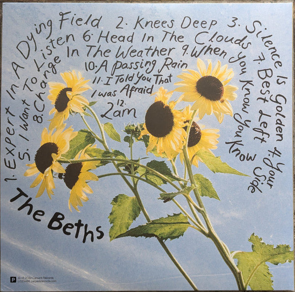 The Beths – Expert In A Dying Field - LP
