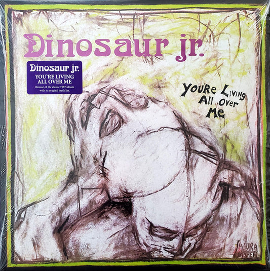 Dinosaur Jr. – You're Living All Over Me