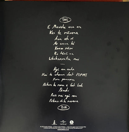 Marlon Williams – Te Whare Tīwekaweka