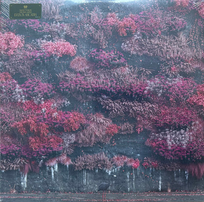 Sleep Token – Even In Arcadia