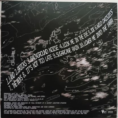 Porpoise Spit – What's It Like Down There? - LP