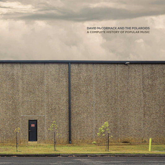 David McCormack And The Polaroids – A Complete History Of Popular Music - LP