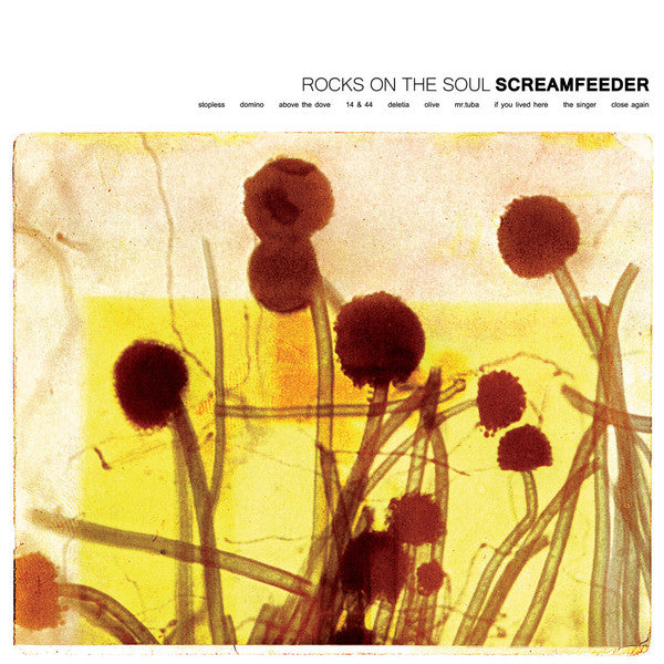 Screamfeeder – Rocks On The Soul - LP