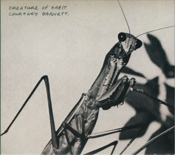 Courtney Barnett – Creature Of Habit - LP