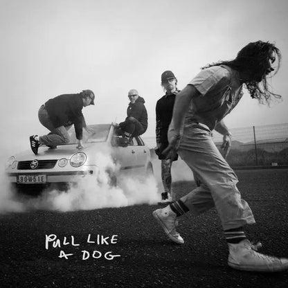 The Scratch – Pull Like A Dog - LP