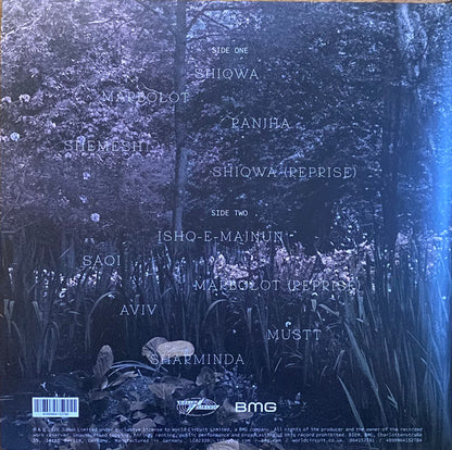 Shye Ben-Tzur, Jonny Greenwood, The Rajasthan Express – Ranjha - LP