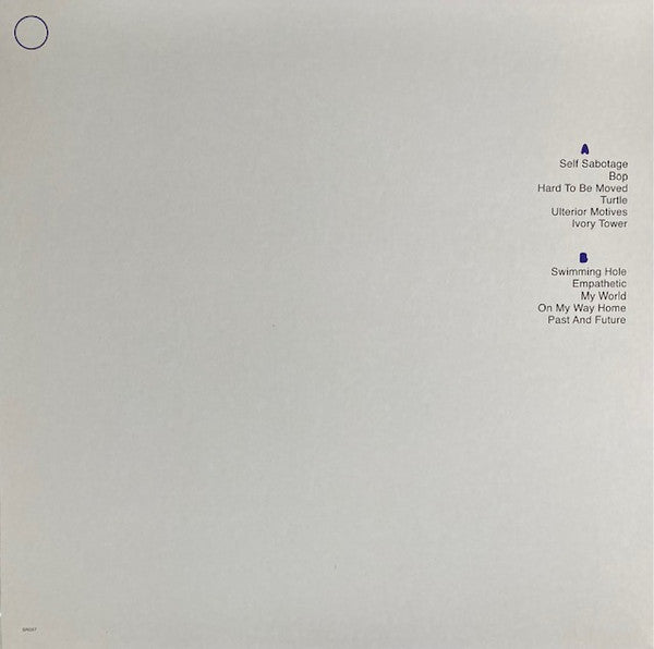 Eddy Current Suppression Ring – In Light Of Recent Events - LP