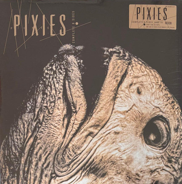 Pixies – Complete B Sides - 2LP