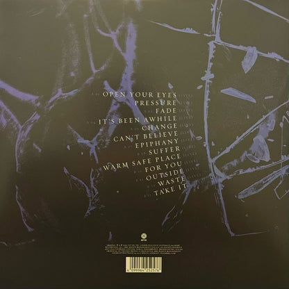 Staind – Break The Cycle (25th Anniversary Live) - LP