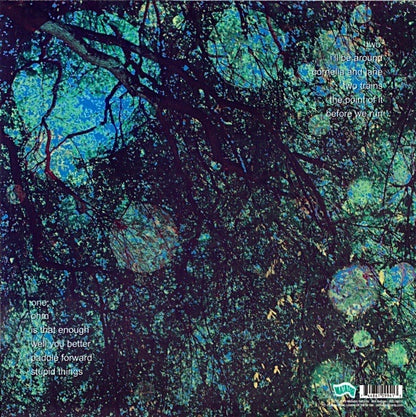 Yo La Tengo – Fade - LP