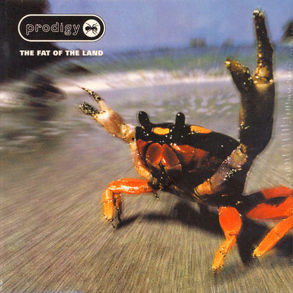 Prodigy – The Fat Of The Land - 2 x Vinyl, LP, Album, Repress