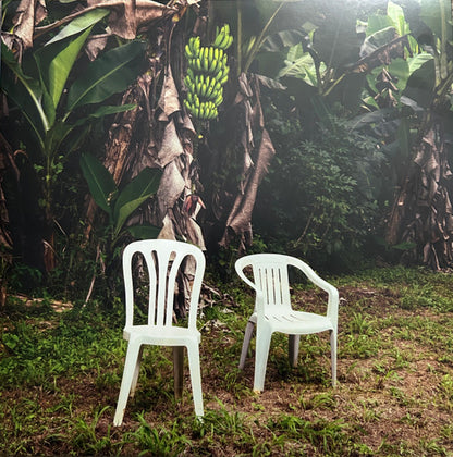Bad Bunny – Debi Tirar Mas Fotos - LP