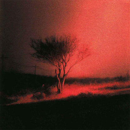 Joji – Piss In The Wind - LP