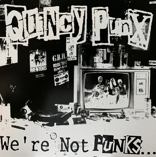 We're Not Punks...But We Play Them On TV